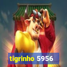 tigrinho 5956